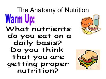 The Anatomy of Nutrition. Today Today we will be discussing the anatomy of nutrition and learning about the six essential nutrient groups View and take.
