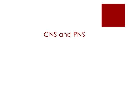 CNS and PNS.