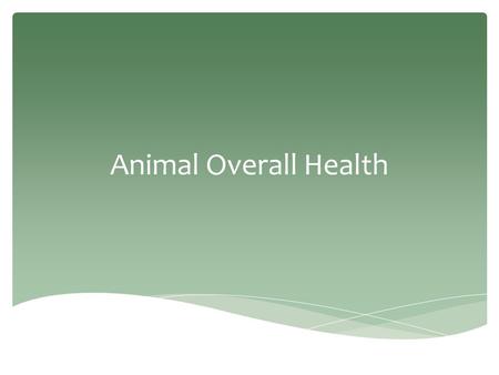 Animal Overall Health.  What are they?  Measurements of the body’s most basic functions.  Four main vital signs are:  Heart beat (pulse)  Respiration.