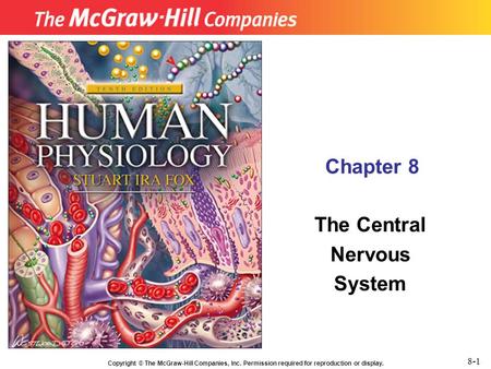 Chapter 8 The Central Nervous System