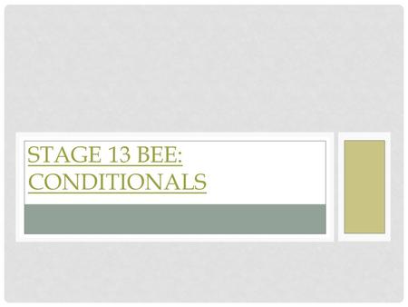 Stage 13 Bee: Conditionals