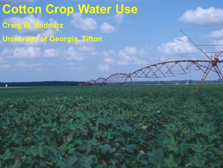 Cotton Crop Water Use Craig W. Bednarz University of Georgia, Tifton.