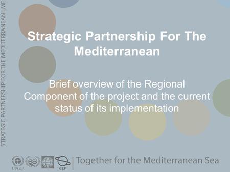 Strategic Partnership For The Mediterranean Brief overview of the Regional Component of the project and the current status of its implementation.