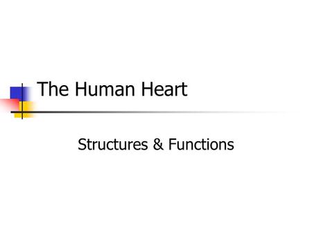 The Human Heart Structures & Functions. *Note… Words highlighted in blue or red indicate the oxygenation of the blood flow through that structure. RED=oxygenated.