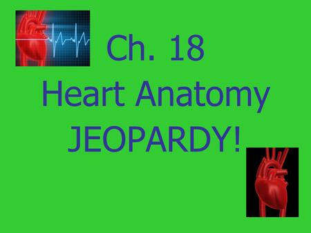 Ch. 18 Heart Anatomy JEOPARDY!.