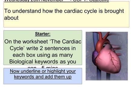 Wednesday 20th November - COPY: Objective To understand how the cardiac cycle is brought about Starter: On the worksheet ‘The Cardiac Cycle’ write 2 sentences.