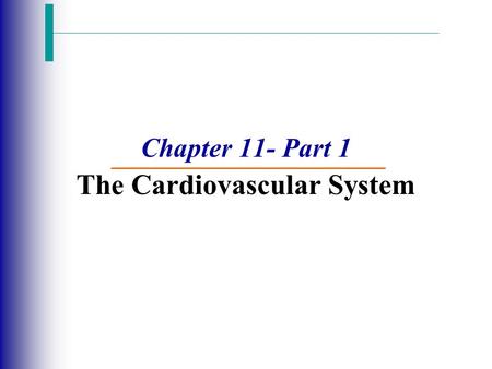 Chapter 11- Part 1 The Cardiovascular System. The Cardiovascular System  A closed system of the heart and blood vessels  The heart pumps blood  Blood.