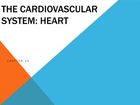 The Cardiovascular system: Heart