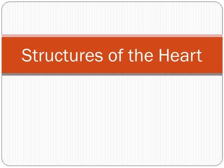 Structures of the Heart. Valves Valves are structures that allow blood to flow through only one way (in one direction) when the heart contracts. They.