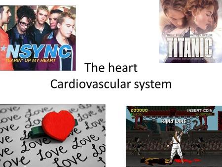 The heart Cardiovascular system