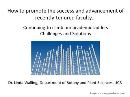 How to promote the success and advancement of recently-tenured faculty… Continuing to climb our academic ladders Challenges and Solutions Image: www.engineerleader.com.