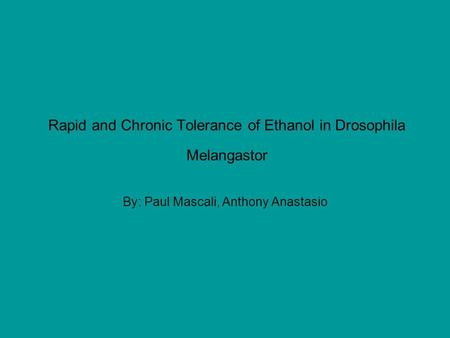 Rapid and Chronic Tolerance of Ethanol in Drosophila Melangastor By: Paul Mascali, Anthony Anastasio.