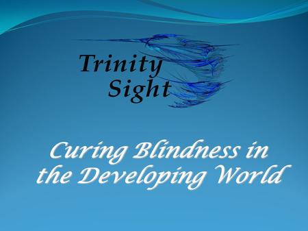 Curing Blindness in the Developing World. The Team Aidan Lynch User Interface Ros McMahon User Input Eoin O' Brien Level Design Maria O' Connor Modeller.