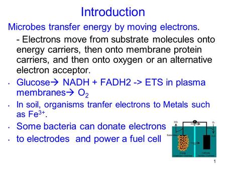 Introduction Microbes transfer energy by moving electrons.