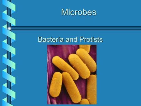 Microbes Microbes Bacteria and Protists. Three Domain Organizational Scheme Six Kingdoms PROKARYA.