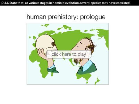 D.3.6 State that, at various stages in hominid evolution, several species may have coexisted.
