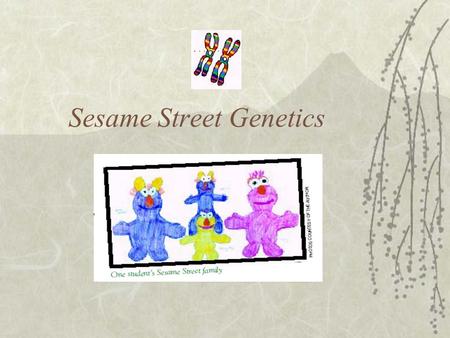 Sesame Street Genetics. Maryland Science Content Standard  Students will be able to explain the ways that genetic information is passed from parent to.
