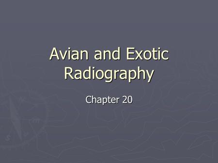 Avian and Exotic Radiography