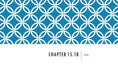 Chapter 15.1b Birds.