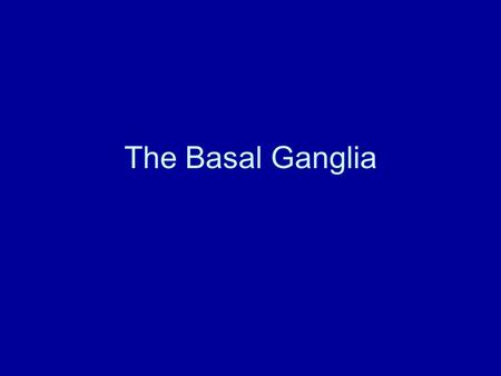 The Basal Ganglia.
