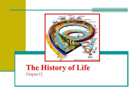 The History of Life Chapter 12. Fossils and Ancient Life A fossil is the preserved remains or evidence of an ancient organism Scientists who study fossils.