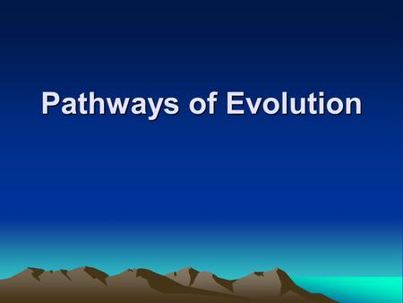 Pathways of Evolution.