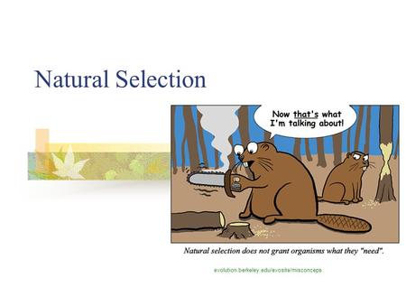 Natural Selection evolution.berkeley.edu/evosite/misconceps.