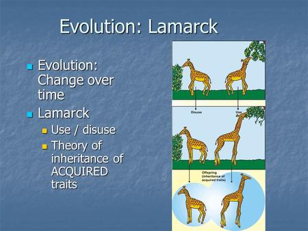Evolution: Lamarck Evolution: Change over time Evolution: Change over time Lamarck Lamarck Use / disuse Use / disuse Theory of inheritance of ACQUIRED.
