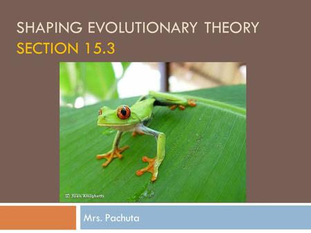 SHAPING EVOLUTIONARY THEORY SECTION 15.3 Mrs. Pachuta.