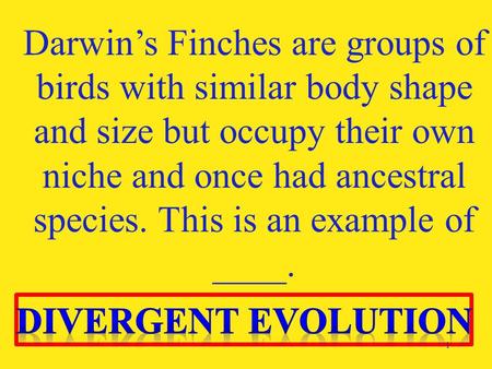 Darwin’s Finches are groups of birds with similar body shape and size but occupy their own niche and once had ancestral species. This is an example of.