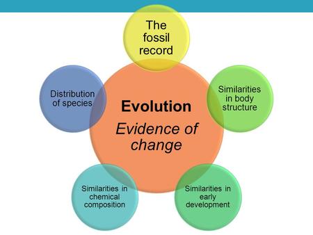 Evolution Evidence of change The fossil record Similarities in body structure Similarities in early development Similarities in chemical composition Distribution.