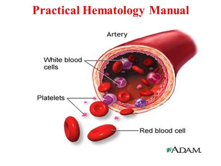 Practical Hematology Manual