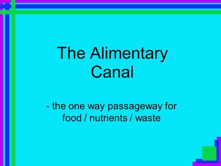 The Alimentary Canal - the one way passageway for food / nutrients / waste.