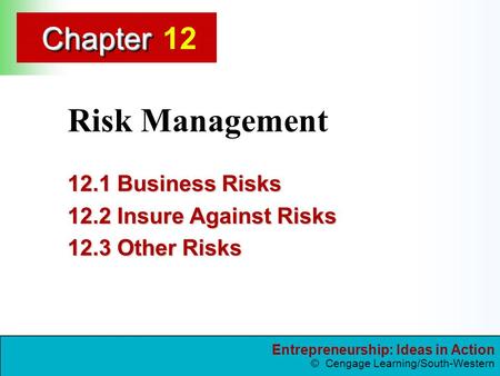 12.1 Business Risks 12.2 Insure Against Risks 12.3 Other Risks