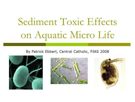 Sediment Toxic Effects on Aquatic Micro Life By Patrick Ebbert, Central Catholic, PJAS 2008.