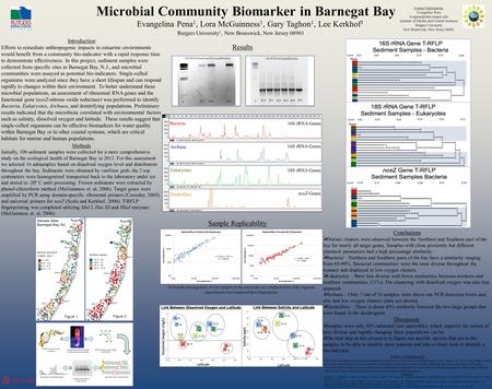 Microbial Community Biomarker in Barnegat Bay Evangelina Pena 1, Lora McGuinness 1, Gary Taghon 1, Lee Kerkhof 1 Introduction Efforts to remediate anthropogenic.