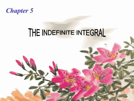 THE INDEFINITE INTEGRAL