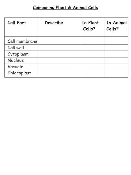 Comparing Plant & Animal Cells Cell Part Describe In Plant In Animal Cells? Cells? Cell membrane Cell wall Cytoplasm Nucleus Vacuole Chloroplast.