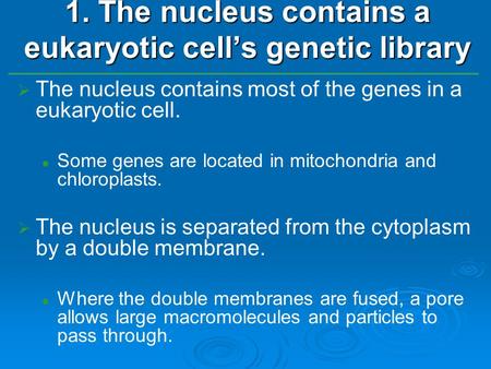   The nucleus contains most of the genes in a eukaryotic cell. Some genes are located in mitochondria and chloroplasts.   The nucleus is separated.