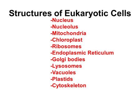 Structures of Eukaryotic Cells -Nucleus -Nucleolus -Mitochondria -Chloroplast -Ribosomes -Endoplasmic Reticulum -Golgi bodies -Lysosomes -Vacuoles -Plastids.