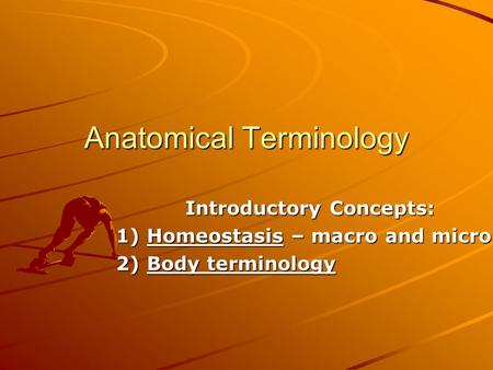 Anatomical Terminology Introductory Concepts: 1) Homeostasis – macro and micro 2) Body terminology.
