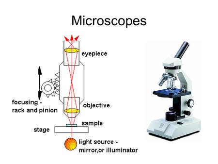 Microscopes. Field of View Fly’s Foot Surface of an Erasable Programmable Read-Only Memory Silicon microchip.