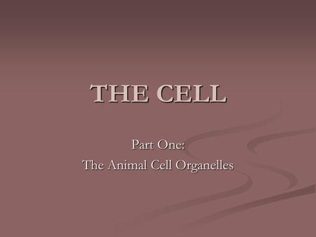 THE CELL Part One: The Animal Cell Organelles. What is a cell… A cell is defined as the basic unit of all organisms. All cells come from pre-existing.