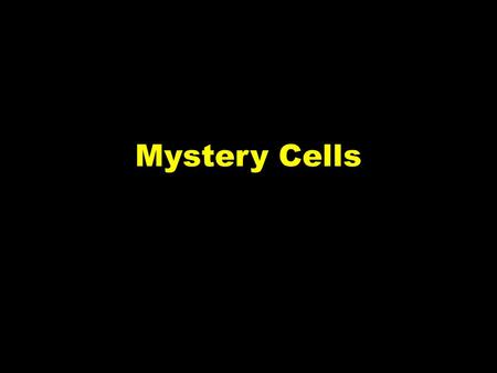 Mystery Cells. The situation Use a cup to draw 3 circles on each page (2 pages) in your SN.