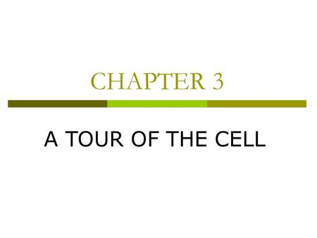 CHAPTER 3 A TOUR OF THE CELL. ALL ORGANISMS ARE MADE OF CELLS.