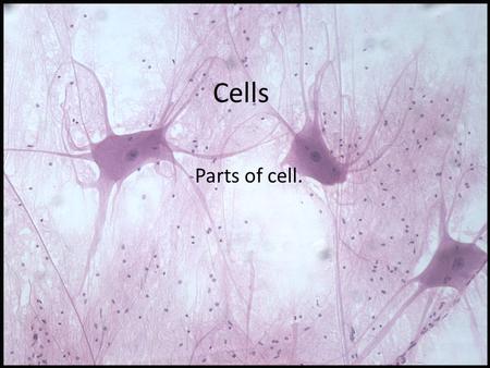 Cells Parts of cell.. Cells Theory  All living things are composed of cells.  All cells come from pre-existing cells.  Cells are the smallest units.