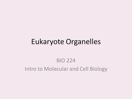 Eukaryote Organelles BIO 224 Intro to Molecular and Cell Biology.