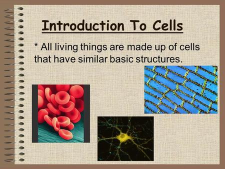 Introduction To Cells * All living things are made up of cells that have similar basic structures.