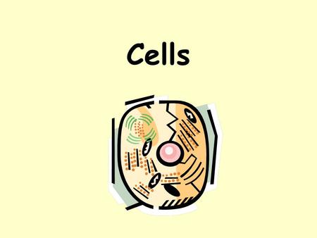 Cells. 4.1 Discovery of the Cell “ The truth is, the science of Nature has already been too long made only a work of the brain and the fancy. It is now.