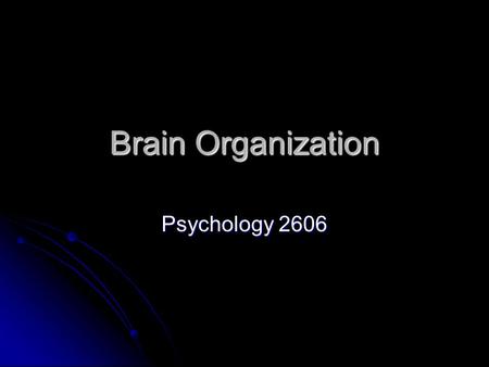 Brain Organization Psychology 2606. Introduction We touched a teeny bit on neurons and glial cells last time We touched a teeny bit on neurons and glial.